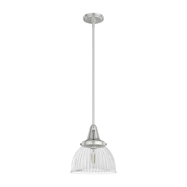 Hunter Lighting 19-HL9 Cypress Grove 1 Light Pendant in Brushed Nickel - Clear Holophane 1