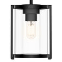 Hunter Lighting 1900 Astwood 1 Light Mini Pendant 11