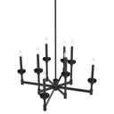 Hunter Lighting 1905 Briargrove 2-Tier 8 Light Chandelier 9