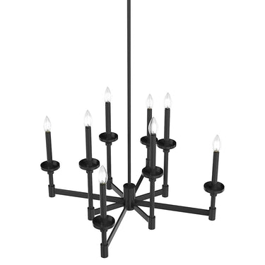Hunter Lighting 1905 Briargrove 2-Tier 8 Light Chandelier 9