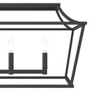Hunter Lighting 1907 Laurel Ridge 6 Light Linear Chandelier 16