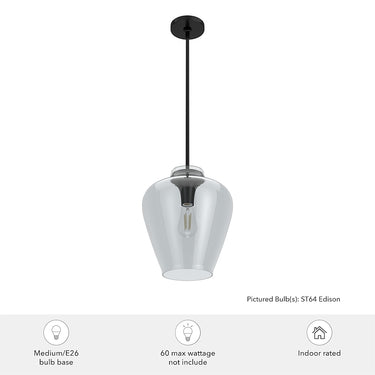 Hunter Lighting 1911-HL Vidria Clear Glass 1 Light 12 Inch Pendant 14