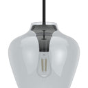Hunter Lighting 1911-HL Vidria Clear Glass 1 Light 12 Inch Pendant 15