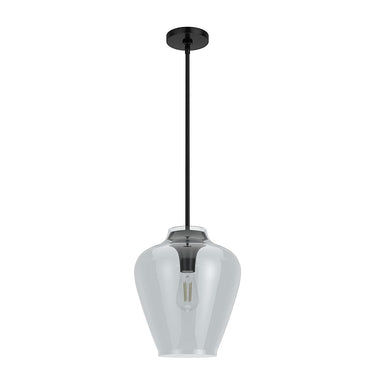 Hunter Lighting 1911-HL Vidria Clear Glass 1 Light 12 Inch Pendant 2