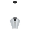 Hunter Lighting 1911-HL Vidria Clear Glass 1 Light 12 Inch Pendant 17