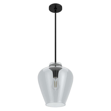 Hunter Lighting 1911-HL Vidria Clear Glass 1 Light 12 Inch Pendant 17
