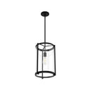 Hunter Lighting 1912 Astwood 1 Light Pendant 17
