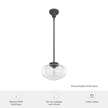 Hunter Lighting 1918 Saddle Creek Clear Seeded Glass 1 Light 10 Inch Pendant 16