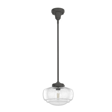 Hunter Lighting 1918 Saddle Creek Clear Seeded Glass 1 Light 10 Inch Pendant 2