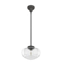 Hunter Lighting 1918 Saddle Creek Clear Seeded Glass 1 Light 10 Inch Pendant 19