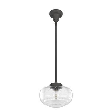 Hunter Lighting 1918 Saddle Creek Clear Seeded Glass 1 Light 10 Inch Pendant 19