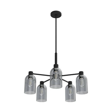 Hunter Lighting 1919-HL Lochmeade Clear Seeded Glass 5 Light Chandelier 2