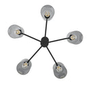 Hunter Lighting 1919-HL Lochmeade Clear Seeded Glass 5 Light Chandelier 20