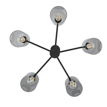 Hunter Lighting 1919-HL Lochmeade Clear Seeded Glass 5 Light Chandelier 20