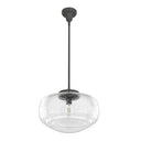 Hunter Lighting 1919-HL1 Saddle Creek Clear Seeded Glass 1 Light 16 Inch Pendant 16