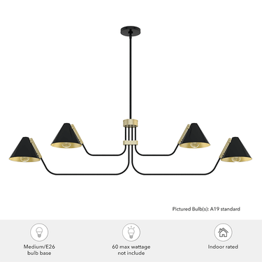 Hunter Lighting 1920 Grove Isle 4 Light Chandelier 7