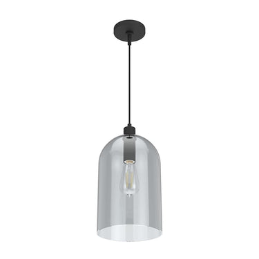 Hunter Lighting 1920-HL Lochmeade Clear Seeded Glass 1 Light Large pendant 16