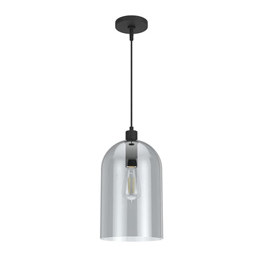 Hunter Lighting 1920-HL Lochmeade Clear Seeded Glass 1 Light Large pendant 2