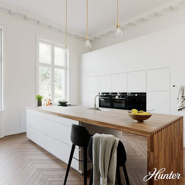 Hunter Lighting 1929-HL Van Nuys 1 Light Mini Pendant 3