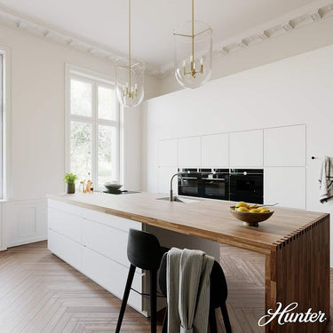 Hunter Lighting 193-HL1 Sacha 4 Light Pendant 8