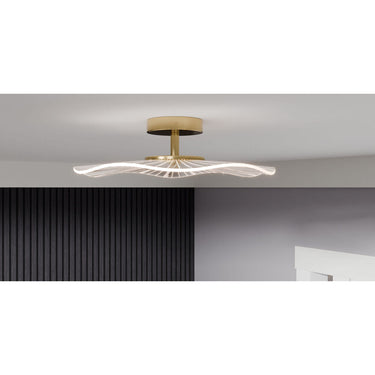 Ibis Semi-Flush Mount in Brushed Gold 2