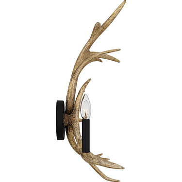 Journey 2 Light Wall Sconce in Earth Black 4