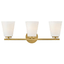 Lark by Hinkley - Bri LED Medium Three Light Vanity Wall Sconce - 2