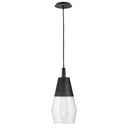 Lark by Hinkley - Livie LED Small Single Light Convertible Pendant
