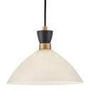 Lark by Hinkley - Simon LED Medium Single Light Convertible Pendant