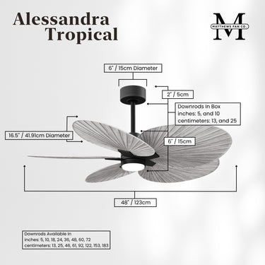 Matthews Fan Alessandra Tropical Five Blade Ceiling Fan image 111
