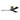 Matthews Fan Atlas IR3H Irene-3H Ceiling Fan - 52 Inch 7