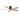 Matthews Fan Atlas IR5H Irene-5H Ceiling Fan - 52 Inch 21