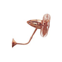 Matthews Fan BP-MTL Gerbar Bruna Parede Ceiling Fan 5