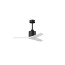 Matthews Fan MW Mollywood Ceiling Fan 3