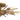 Mesquite 5 Light Semi-Flush Mount 4
