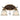 Metropolitan N1462-652 Chateau Nobles 2 Light Bath in Raven Bronze W/Sunburst Gold H - Crescent Harbor 1