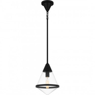 Mini Pendant-QPP616 1