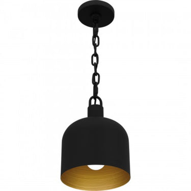 Mini Pendant-QPP620 1