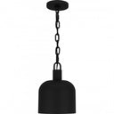 Mini Pendant-QPP620
