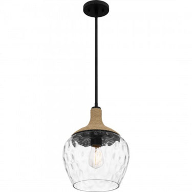 Mini Pendant-QPPC5603MBK 1