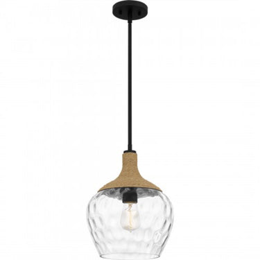 Mini Pendant-QPPC5603MBK 4