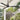 Minka Aire Simple F787 52" Outdoor Ceiling Fan 19