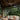 Minka Aire Xtreme H2O 84" F896 84 Inch Outdoor Ceiling Fan 23