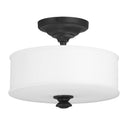 Minka Lavery 4172-66A Harbour Point - 2 Light Semi Flush in Sand Coal 1