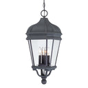 Minka Lavery 8694 Harrison 4 Light Outdoor Chain Hung 2