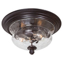 Minka Lavery 8769-166 Merrimack 2 Light Outdoor Ceiling Light 1