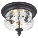 Minka Lavery 9909-1-66 Ardmore 2 Light Outdoor Ceiling Light 1