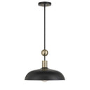 Minka Lavery Biloxi 1Lt Pendant - 1995-862 