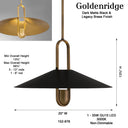 Minka Lavery Goldenridge 20" 1 Light Pendant - 152-876 8