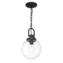 Minka Lavery Wenston 1 Light Pendant - 73364-66 2